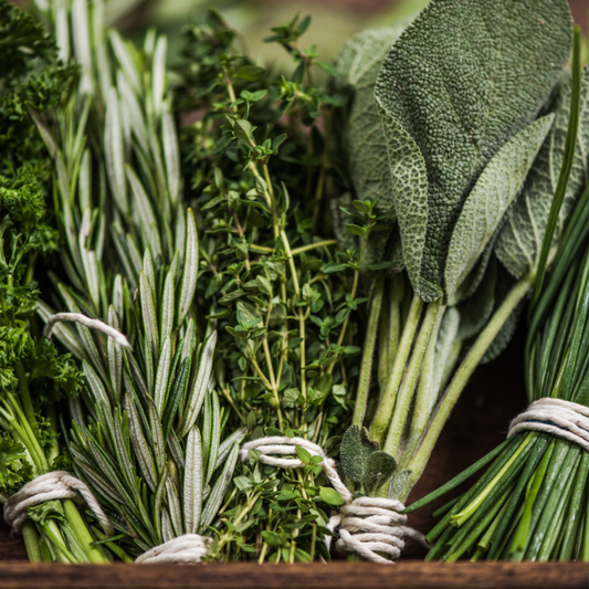 Bundles of fresh green herbs tied together on a wooden surface